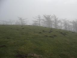 Sepultura de la edad del hierro - Cromlech/Navarra/Umgebung Sepultura de la edad del hierro - Cromlech/Navarra/Umgebung