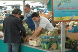Padova/Mercato in Piazza dell'Erbe Padova/Mercato in Piazza dell'Erbe