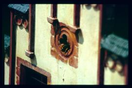 Oesterreich-Reise Juli 1991/Klagenfurt/Minimundus/detail: wasps in miniature window Oesterreich-Reise Juli 1991/Klagenfurt/Minimundus/detail: wasps in miniature window