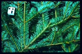 USA Weihnachten 1993/1994/Baum Detail USA Weihnachten 1993/1994/Baum Detail