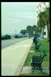 USA Weihnachten 1993/1994/Charleston, SC/Waterfront Park/benches USA Weihnachten 1993/1994/Charleston, SC/Waterfront Park/benches