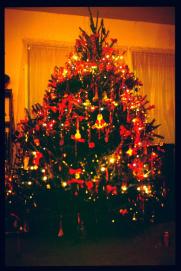 USA Weihnachten 1993/1994/christmas tree USA Weihnachten 1993/1994/christmas tree