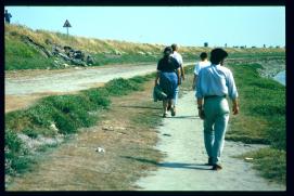 Frankreich/France 1994/mont st michel/chemin Frankreich/France 1994/mont st michel/chemin