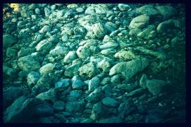 Frankreich/France 1994/chemin de pieds Frankreich/France 1994/chemin de pieds